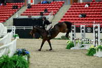 00295 - Mara - 2026 Royal West - Saturday October 2th