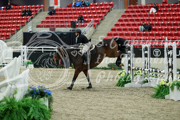 00295 - Mara - 2026 Royal West - Saturday October 2th