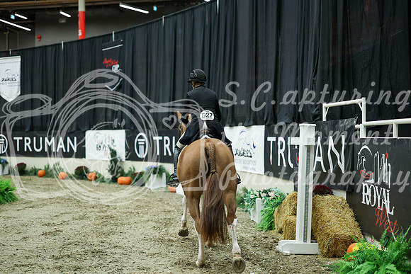 07196 - Mara - 2026 Royal West - Saturday October 17th