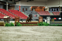 01540 - Mara - 2026 Royal West - Saturday October 17th