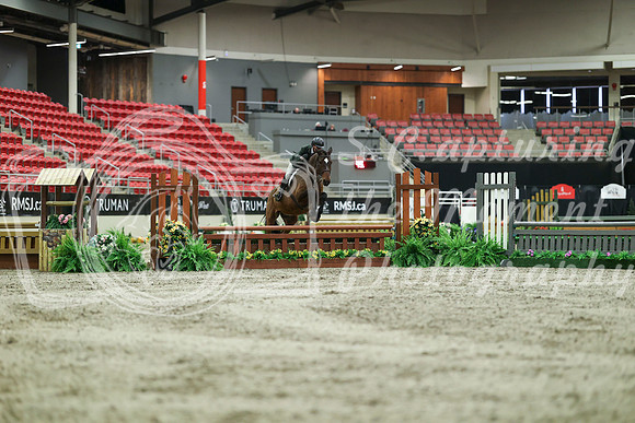 01540 - Mara - 2026 Royal West - Saturday October 17th
