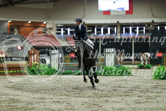02017 - Mara - 2026 Royal West - Saturday October 17th