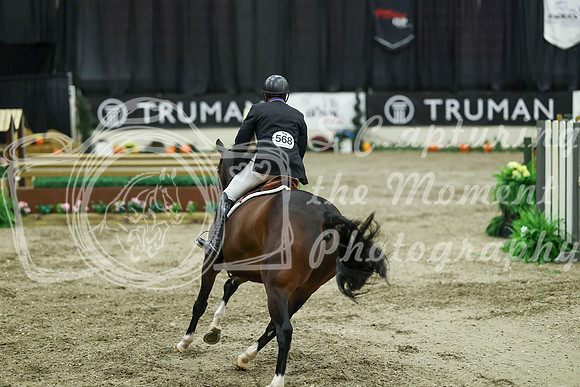 06028 - Mara - 2026 Royal West - Tuesday October 20th