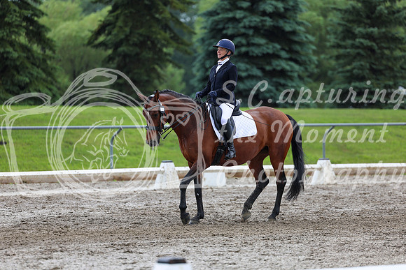 2025 - Dressage Festival - Sunday July 6th - 13172