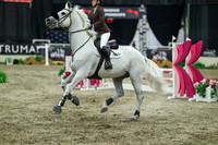 01860 - Mara - 2026 Royal West - Sunday October 18th