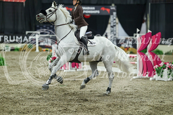 01860 - Mara - 2026 Royal West - Sunday October 18th