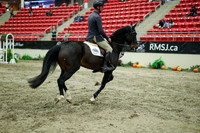 05198 - Mara - 2026 Royal West - Wednesday October 21st