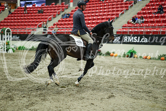05198 - Mara - 2026 Royal West - Wednesday October 21st