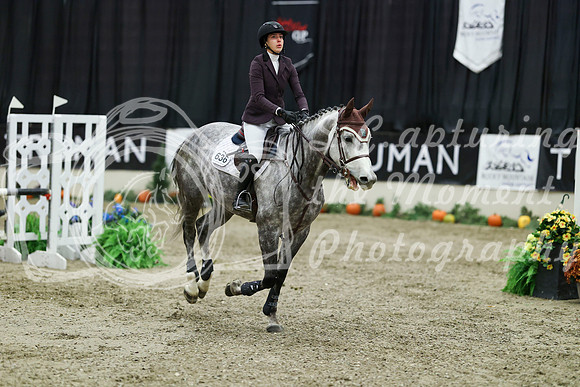 03690 - Mara - 2026 Royal West - Thursday October 22nd