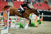 06198 - Mara - 2026 Royal West - Thursday October 15th
