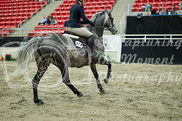 05362 - Mara - 2026 Royal West - Wednesday October 21st