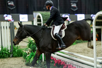 05036 - Mara - 2026 Royal West - Tuesday October 20th