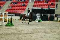 04864 - Mara - 2026 Royal West - Saturday October 24th
