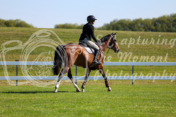 3582 - Shea - 2026 Harvest - Friday September 18th