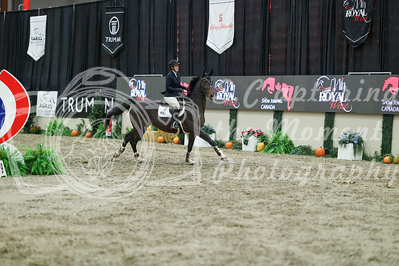 06618 - Mara - 2026 Royal West - Sunday October 18th