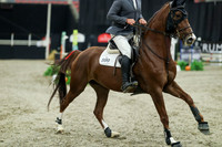 04508 - Mara - 2026 Royal West - Sunday October 18th