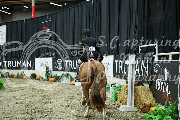 07194 - Mara - 2026 Royal West - Saturday October 17th