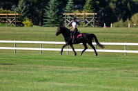 00928 - Shea - 2026 Harvest - Thursday September 17th