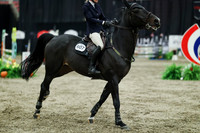 07428 - Mara - 2026 Royal West - Sunday October 18th