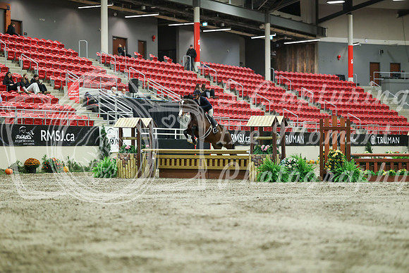 02254 - Mara - 2026 Royal West - Saturday October 17th