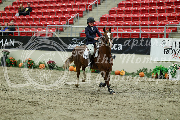 00703 - Mara - 2026 Royal West - Wednesday October 21st