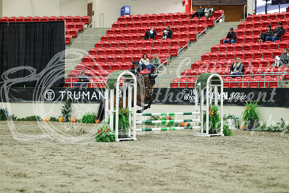01062 - Mara - 2026 Royal West - Wednesday October 21st
