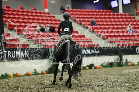 02688 - Mara - 2026 Royal West - Saturday October 17th