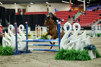 00552 - Mara - 2026 Royal West - Saturday October 2th