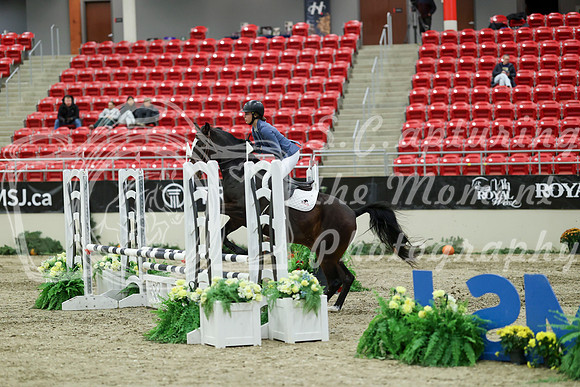 00785 - Mara - 2026 Royal West - Saturday October 2th