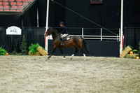 01331 - Mara - 2026 Royal West - Thursday October 15th