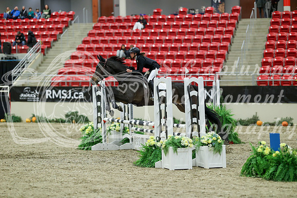 00422 - Mara - 2026 Royal West - Saturday October 2th