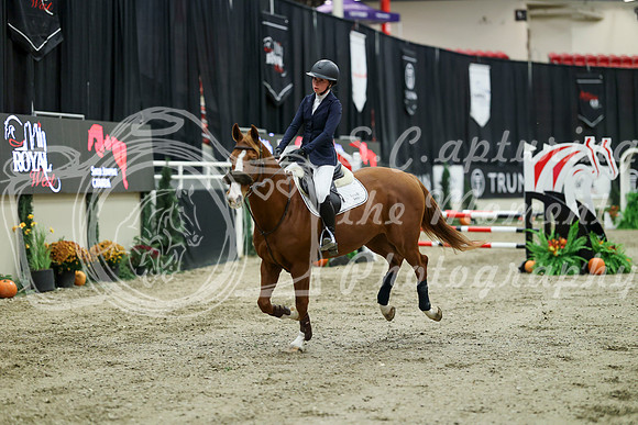 00960 - Mara - 2026 Royal West - Saturday October 2th
