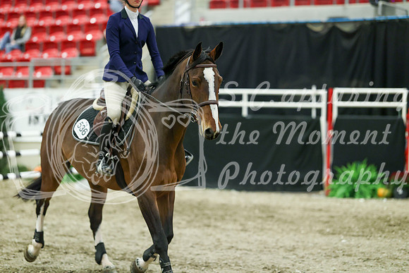 07982 - Mara - 2026 Royal West - Friday October 16th