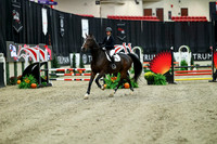 00068 - Mara - 2026 Royal West - Saturday October 2th