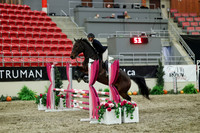 02119 - Mara - 2026 Royal West - Thursday October 15th