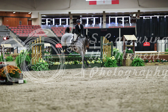 00150 - Mara - 2026 Royal West - Tuesday October 20th