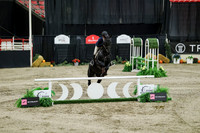 01403 - Mara - 2026 Royal West - Friday October 23rd