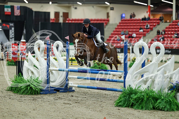 00015 - Mara - 2026 Royal West - Saturday October 2th