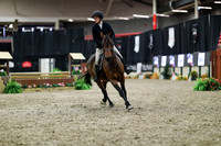 01308 - Mara - 2026 Royal West - Tuesday October 20th