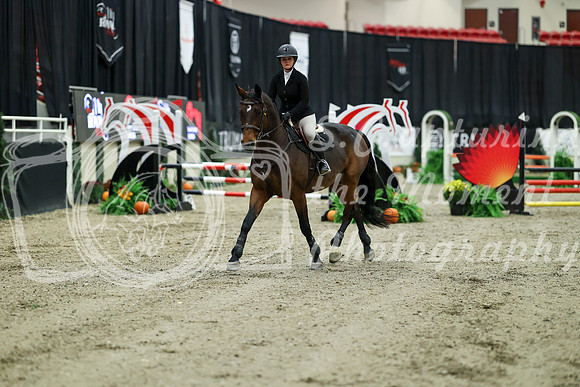 00281 - Mara - 2026 Royal West - Saturday October 2th
