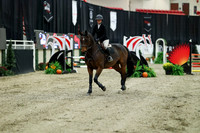 00284 - Mara - 2026 Royal West - Saturday October 2th