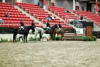 02243 - Mara - 2026 Royal West - Monday October 19th