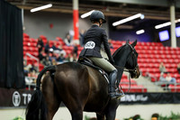 02058 - Mara - 2026 Royal West - Monday October 19th
