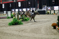 03587 - Mara - 2026 Royal West - Tuesday October 20th