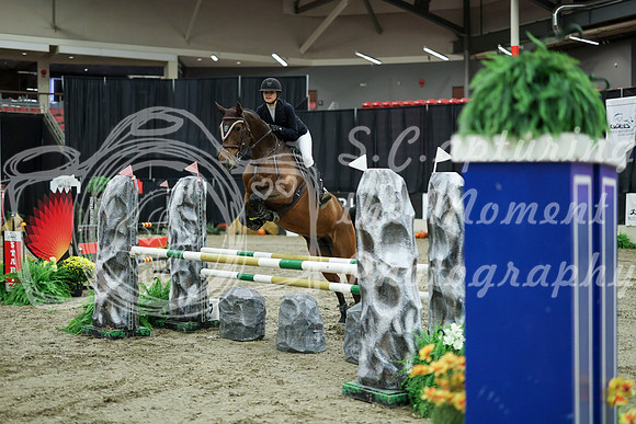 03305 - Mara - 2026 Royal West - Wednesday October 21st