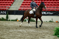 01164 - Mara - 2026 Royal West - Friday October 23rd