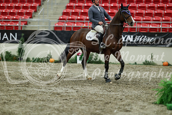 01164 - Mara - 2026 Royal West - Friday October 23rd