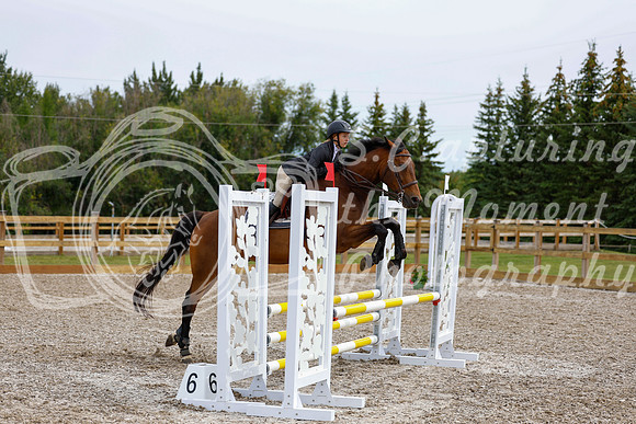 2025 - Haylee - Picco Horse Show - Friay July 25th 01626