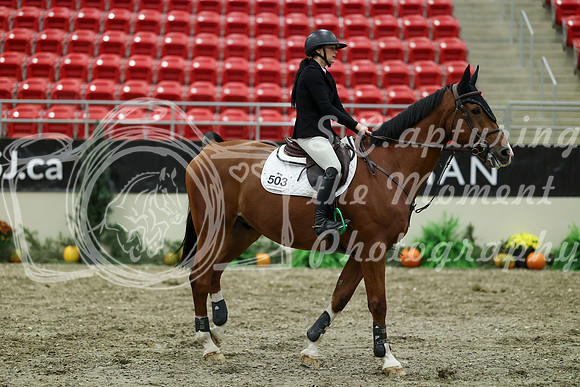 01343 - Mara - 2026 Royal West - Thursday October 15th