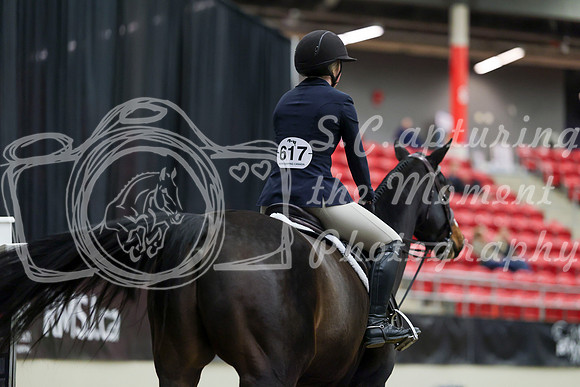 01237 - Mara - 2026 Royal West - Tuesday October 20th